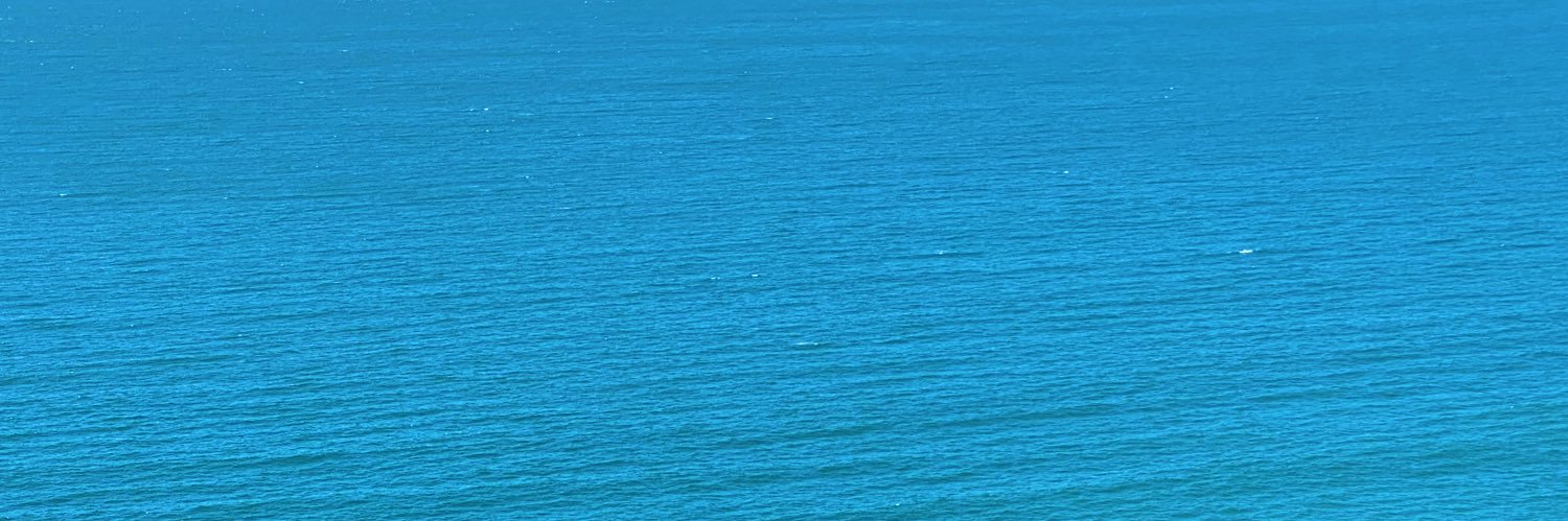 OlgaAyva's profile banner image