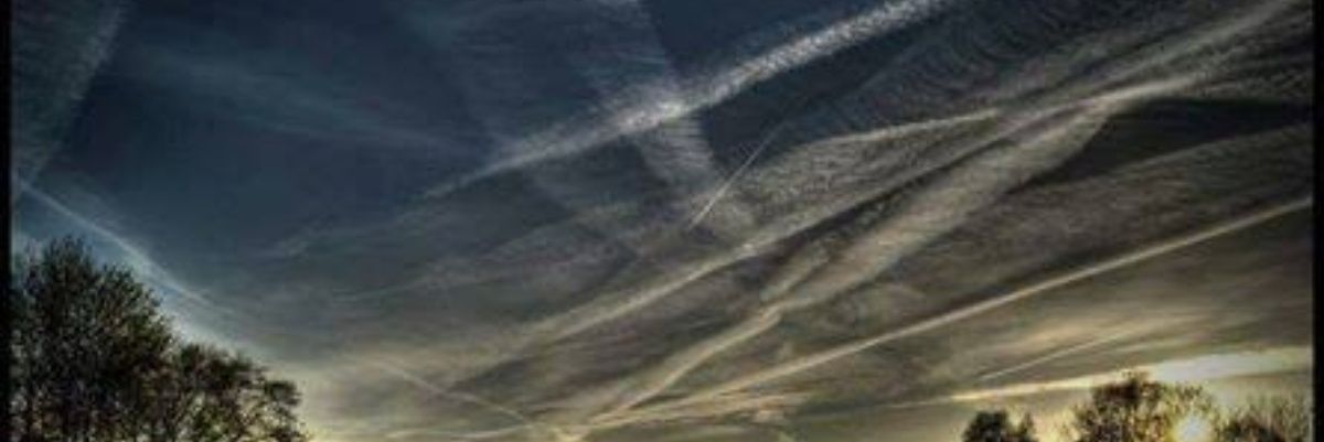 BloodyAngry banner