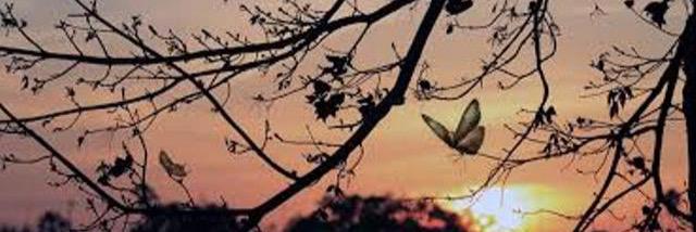 kaka_furst's profile banner image