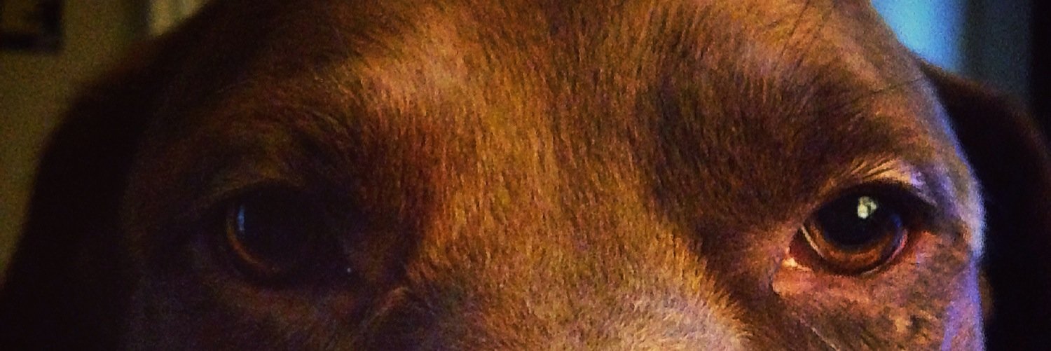 Jakob_Harding's profile banner image