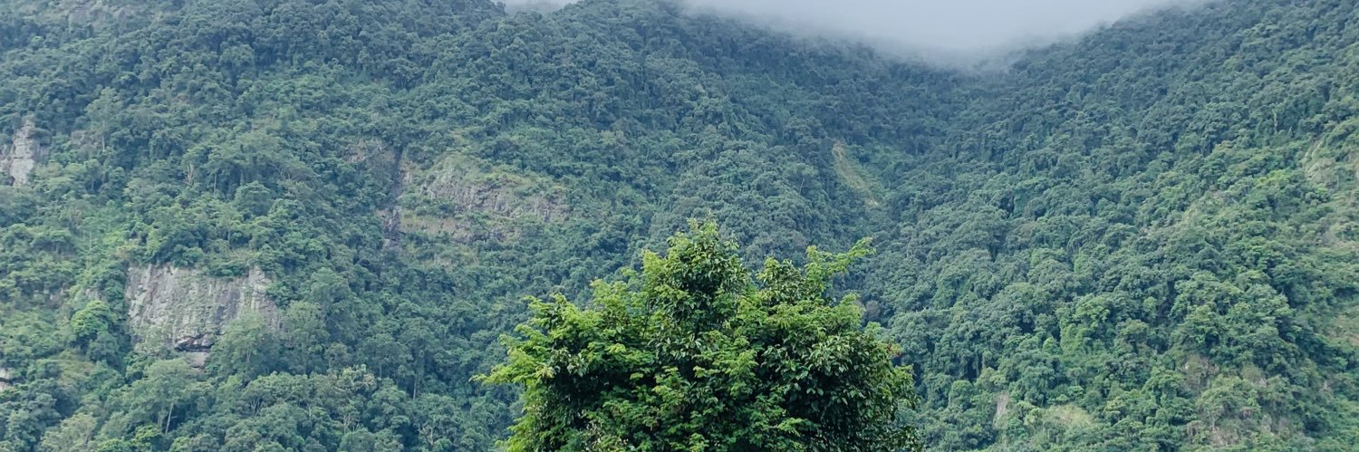 shamnasym's profile banner image