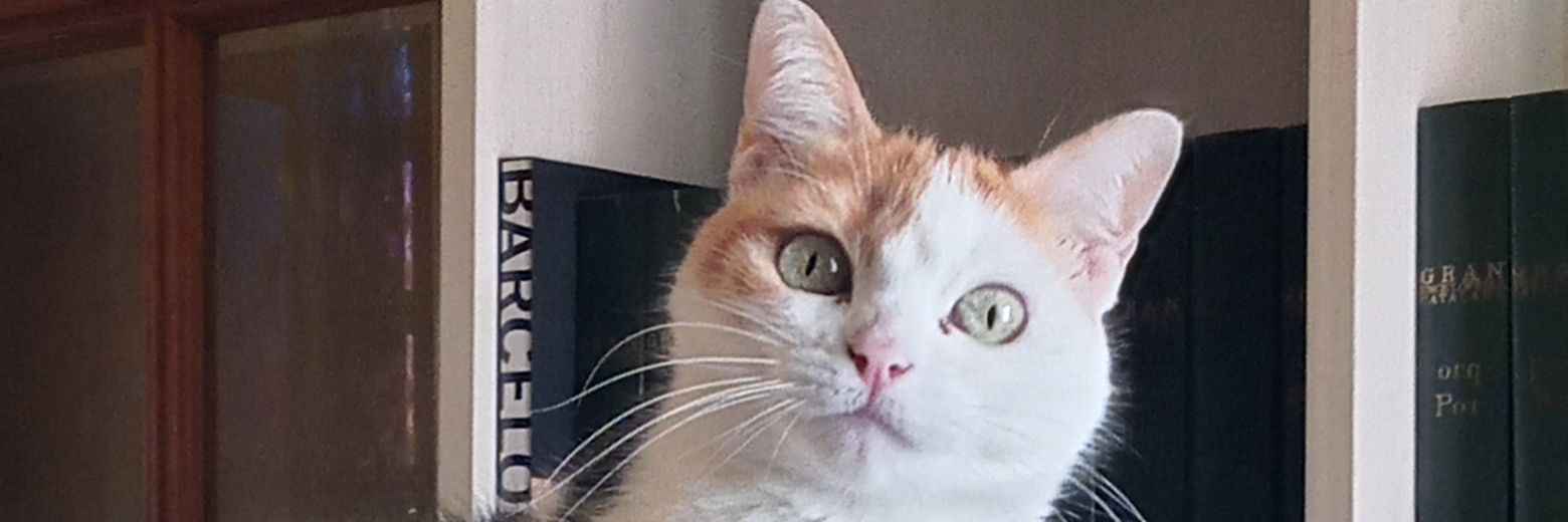 teteramon53's profile banner image