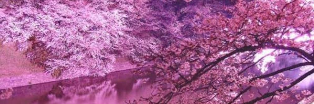 elysian0117's profile banner image