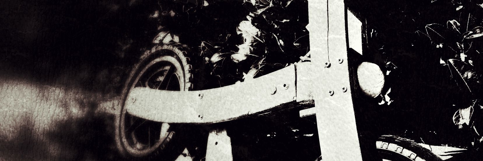 Ecco banner