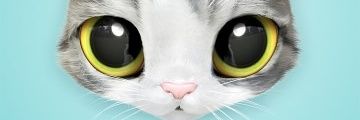 ayuu_lstr's profile banner image