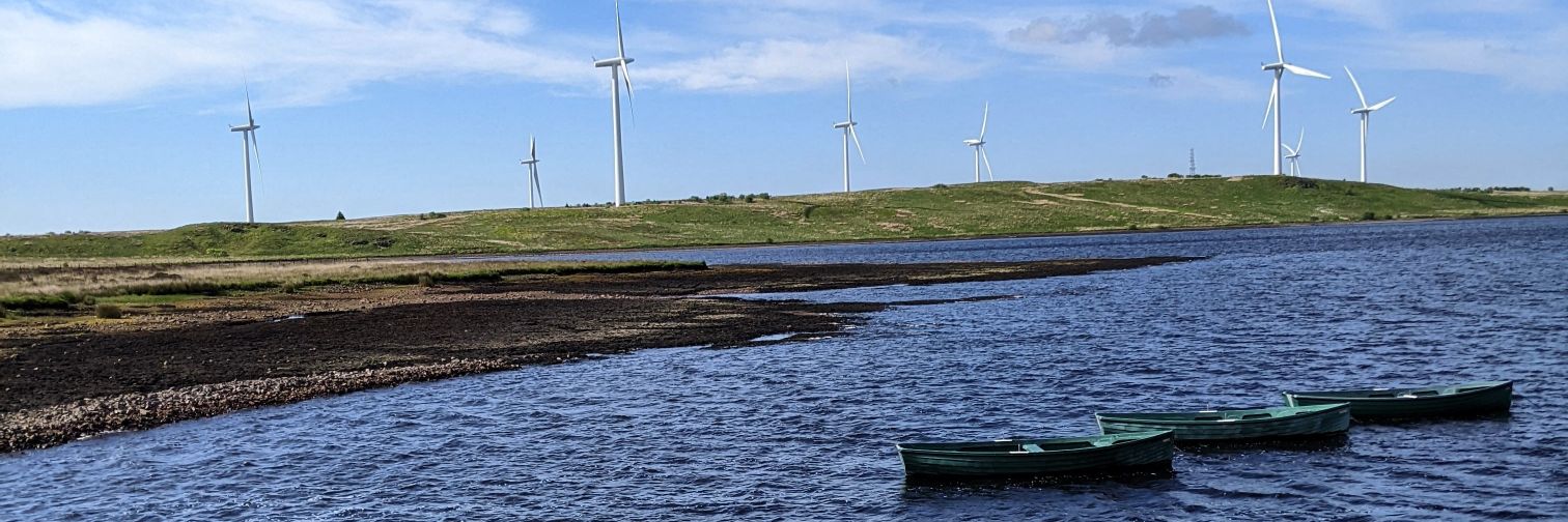 Light amongst the dark 🏳️‍🌈🌻♿ banner