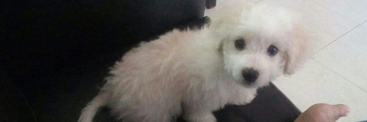 Irina Margarita banner