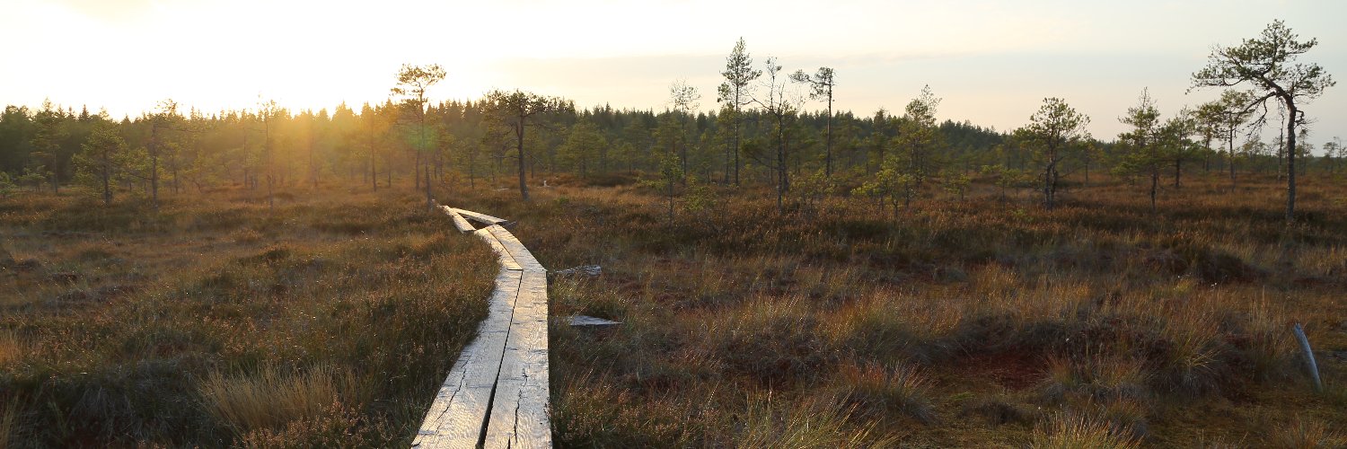 Philipp Oleynik banner