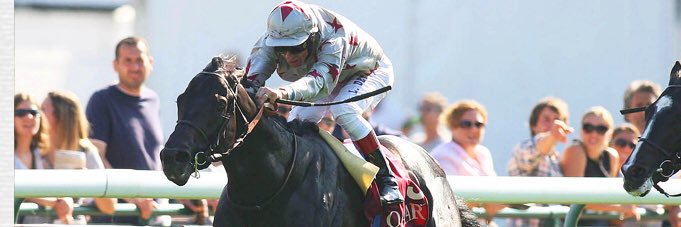 EcurieNormandiePurSang banner