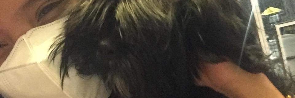 imgabby12's profile banner image