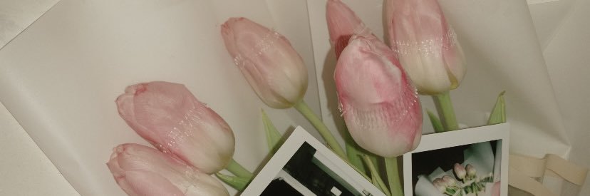 allanajade_'s profile banner image
