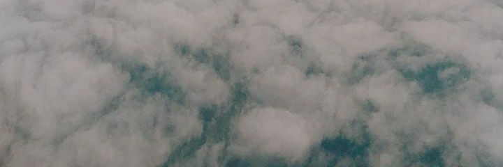 sany banner