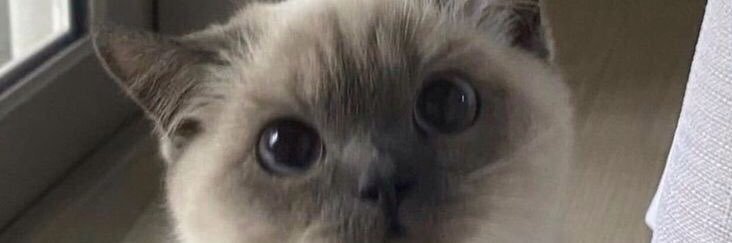 danianyo's profile banner image