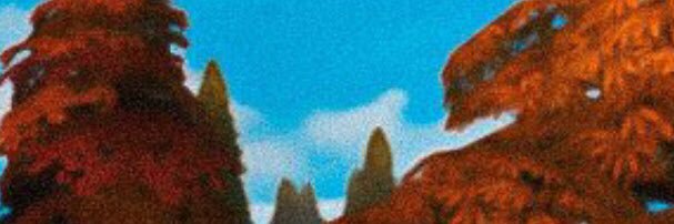 rbnsimmer's profile banner image