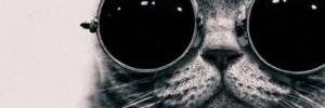 yeyaDS's profile banner image