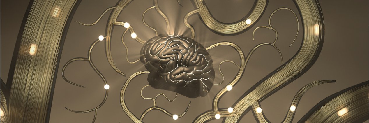 Charlie Demené banner