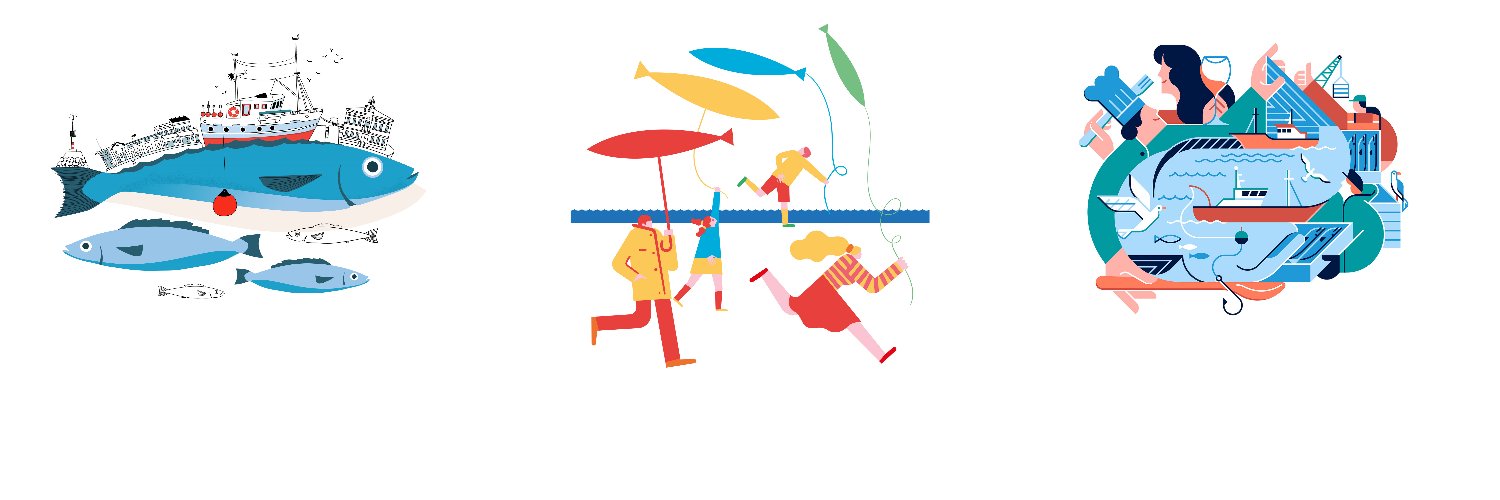 MerluzaDeCeleiro banner