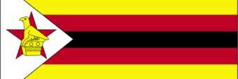 Zim_Forever banner