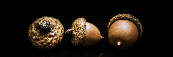 yemedikadam Profile Banner