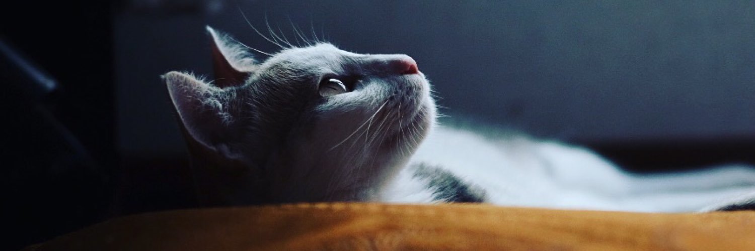 Okotutter's profile banner image