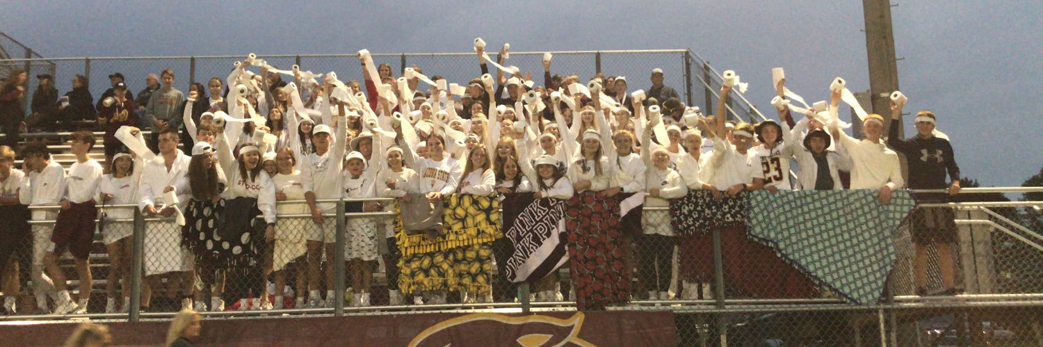 PI Activities banner