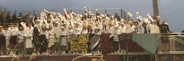 ActivitiesPi Profile Banner