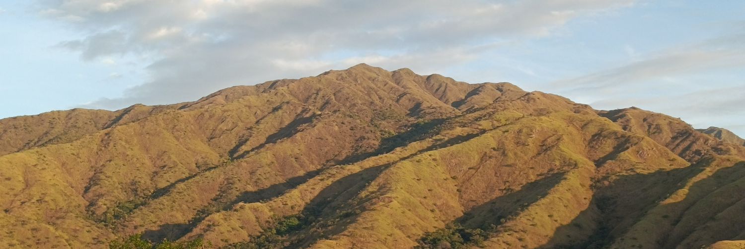 tgerardoa's profile banner image