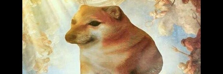 MiaMorel8's profile banner image