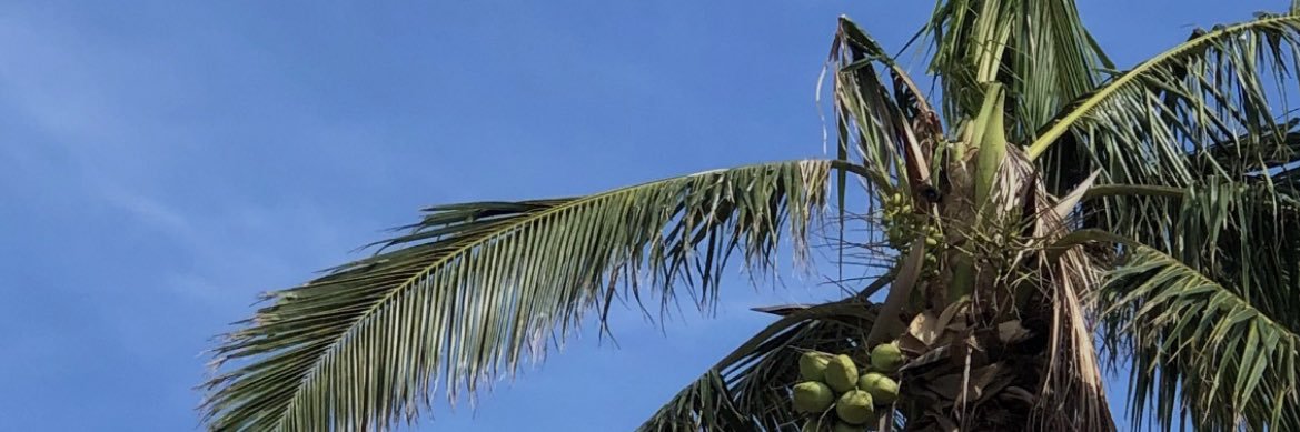 fer_rzc's profile banner image