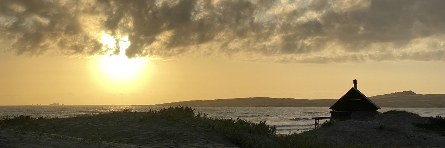 iamlulei's profile banner image