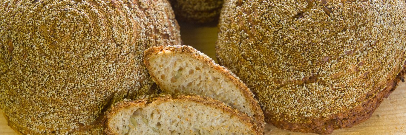 Breadnmorels's profile banner image