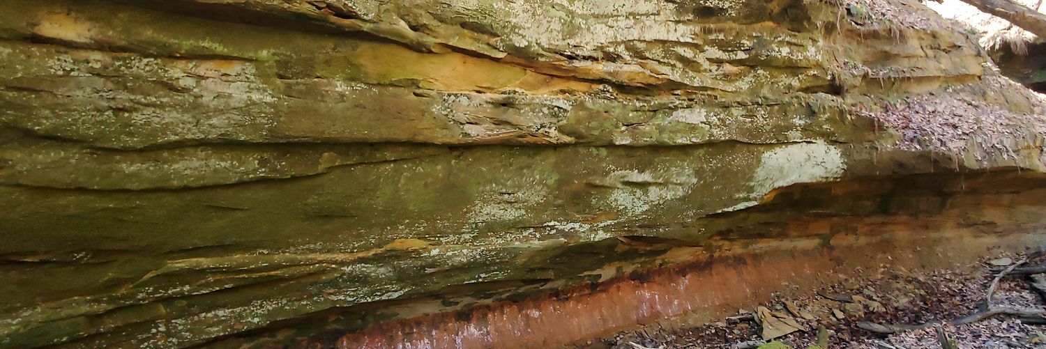 daniel j flosi banner