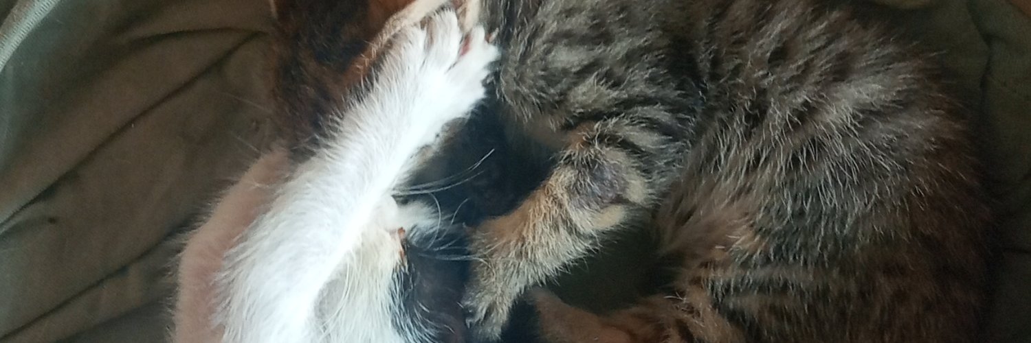 BLUBBLUBBLUB🐟🐟 banner