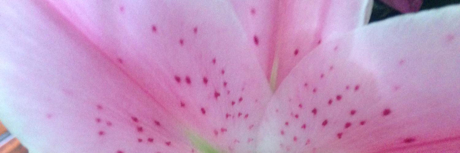 clairesec75's profile banner image