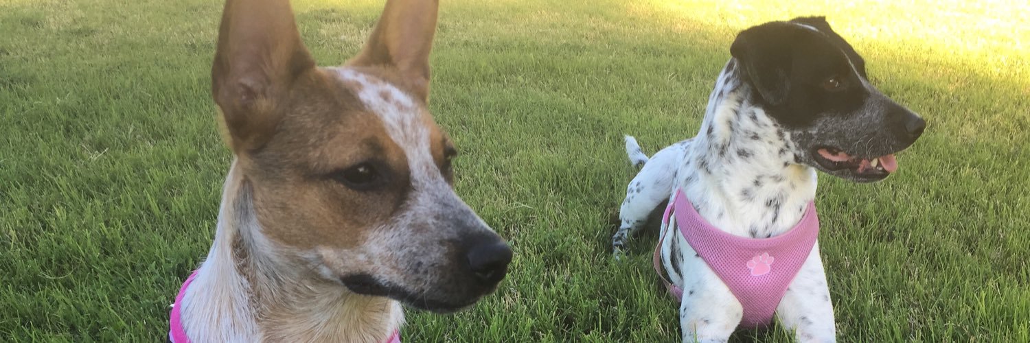 Megzzlee's profile banner image