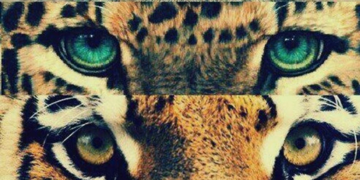 Esteela_ER's profile banner image