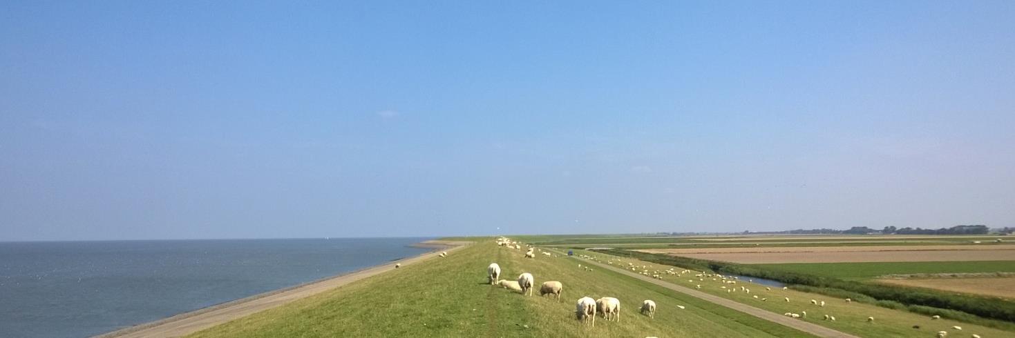 Klaas Johan Osinga banner