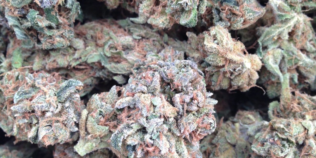 BluntMasterrr's profile banner image