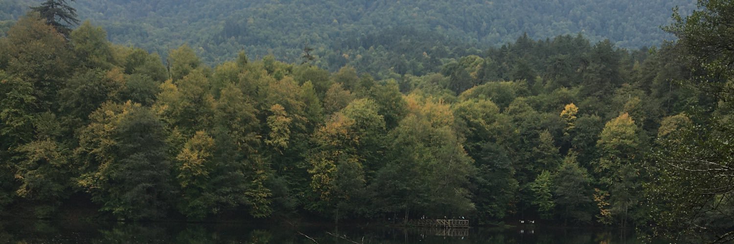 teachere30's profile banner image