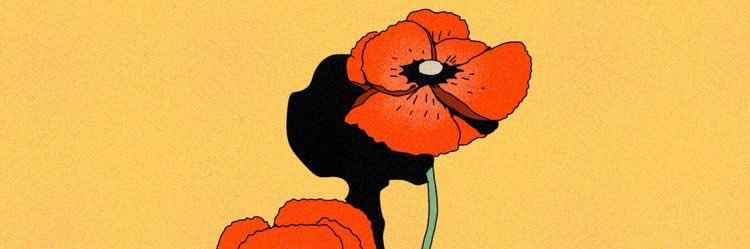 wtftayyy's profile banner image