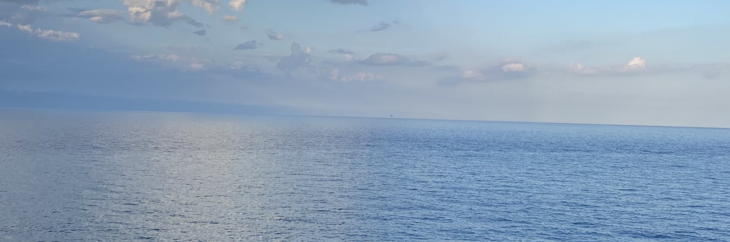 JasminVenuto's profile banner image