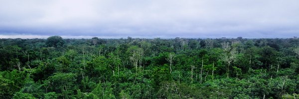 PROAmazoniaEC Profile Banner