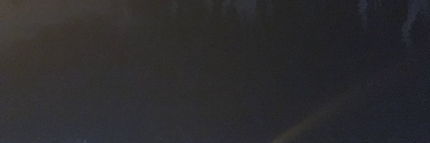 S banner