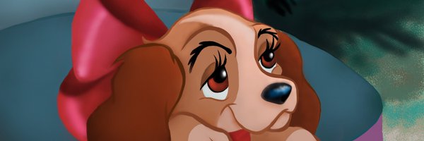 allisonpopick Profile Banner