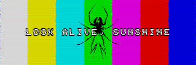 puandirektor's profile banner image