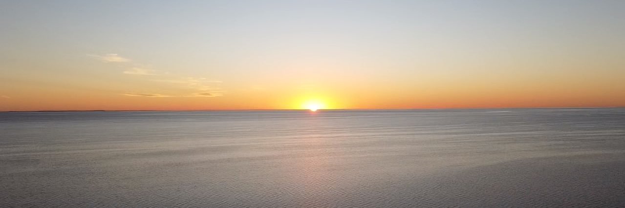 Lucy Arrowsmith banner