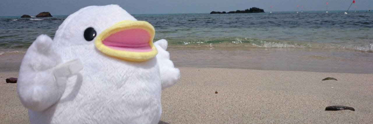 P_taka's profile banner image