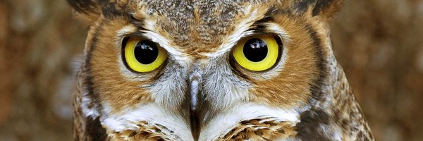 OGAOCPS Profile Banner