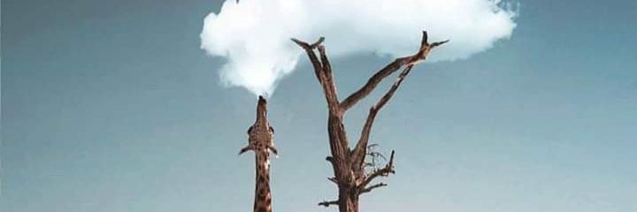 Jmorales_91's profile banner image