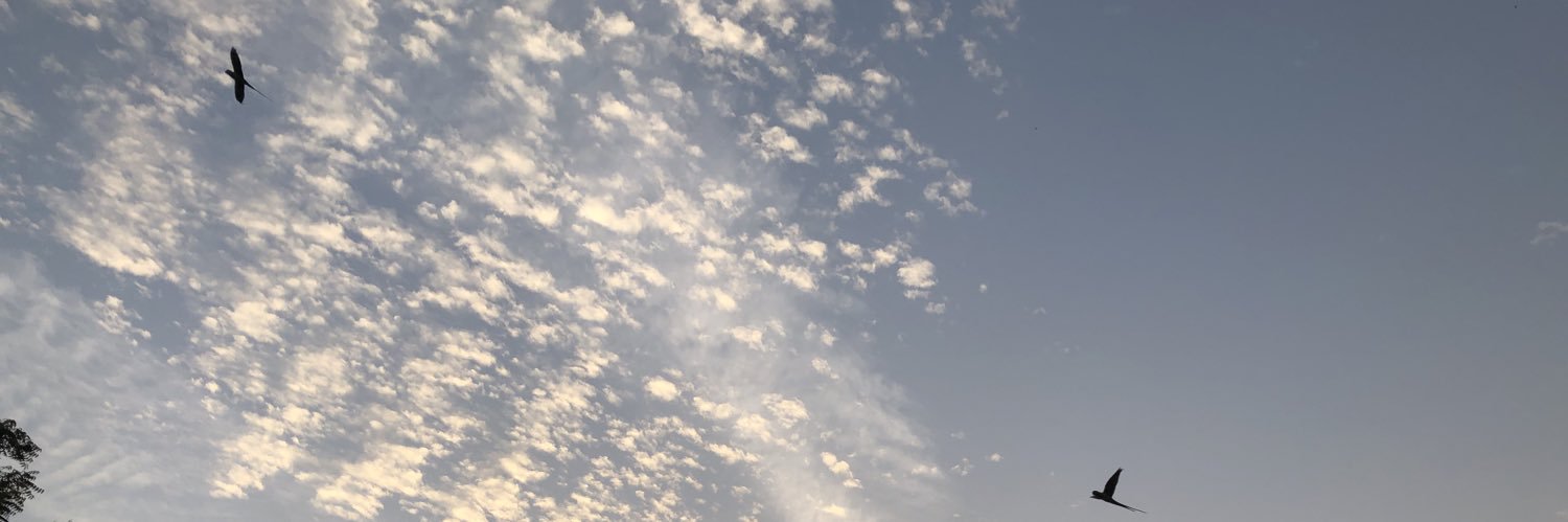 rasoolarshad's profile banner image